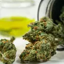 medizinisches-cannabis.jpg