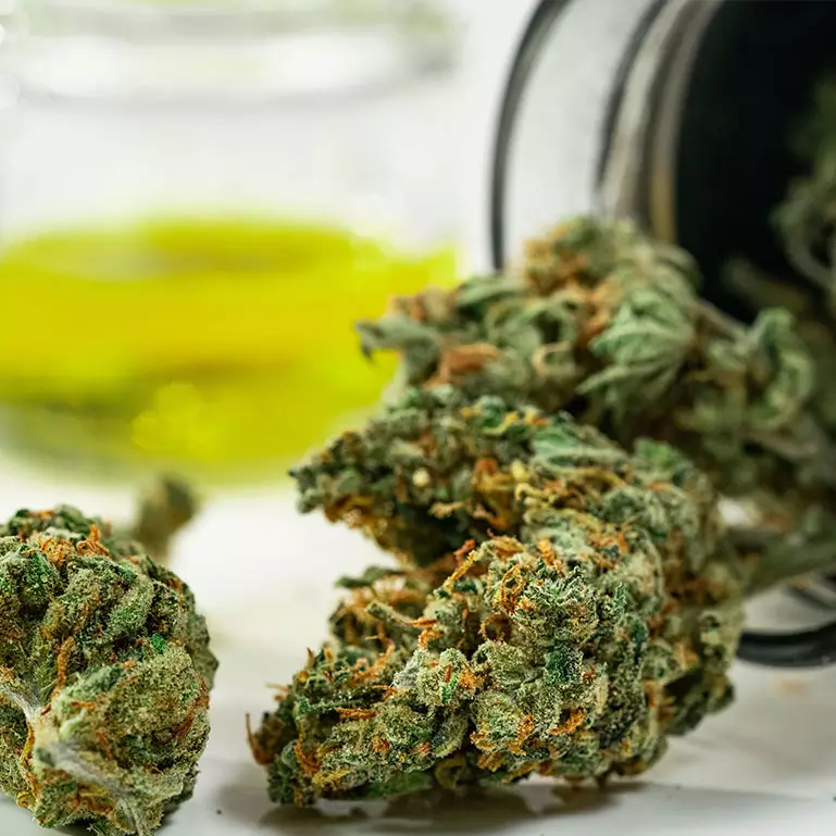 slide-cannabis-01.jpg